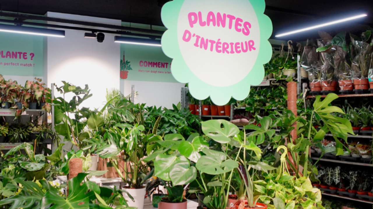 Lyon Une Grande Vente De Plantes Prix Mini En Plein Coeur De La